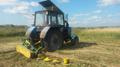 Покос травы, борщевика, трактором МТЗ с роторной косилкой